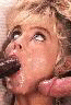 58.JPG 