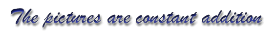 logo2.gif (12288 bytes)